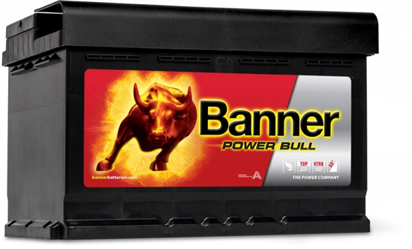 Batterie Auto 12v 74ah 680A Banner P7412 Power pro L3 E11