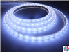 KIT STRIP LED BLANC FROID 1M 30LED 12V IP65 DEC/SWK1-ETN
