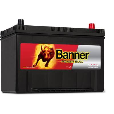 Batterie Auto 12v 95ah 740A Banner P9504 Power Bull G7