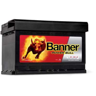 Batterie Auto 12v 74ah 680A Banner P7412 Power pro L3 E11