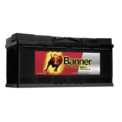 Batterie Auto 12v 100ah 820A Banner P10040 Power Pro L5 H3