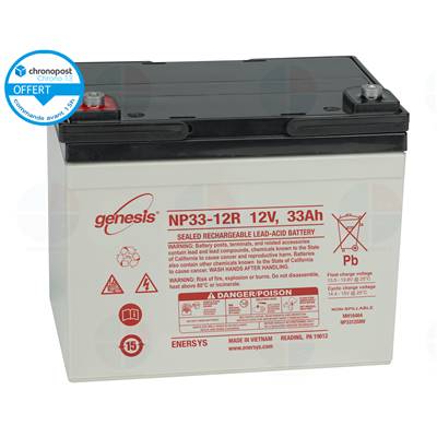 Batterie Enersys NP33-12 12V 33 Ah TEV12360