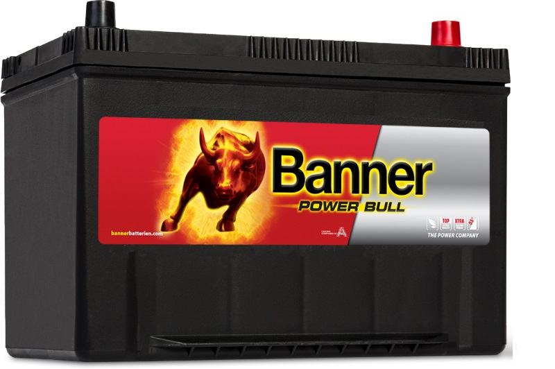 Batterie Auto 12v 95ah 740A Banner P9504 Power Bull G7