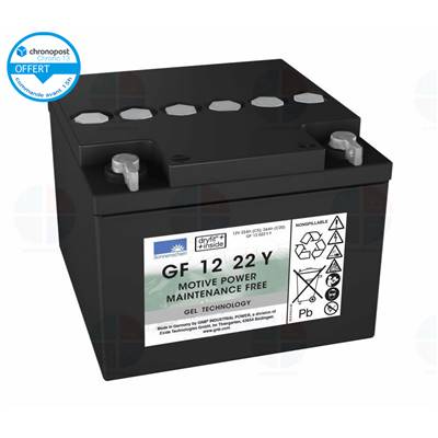 Batterie GF12022 Y 12V 22Ah C5 / 24Ah C20 Sonnenschein Exide GEL