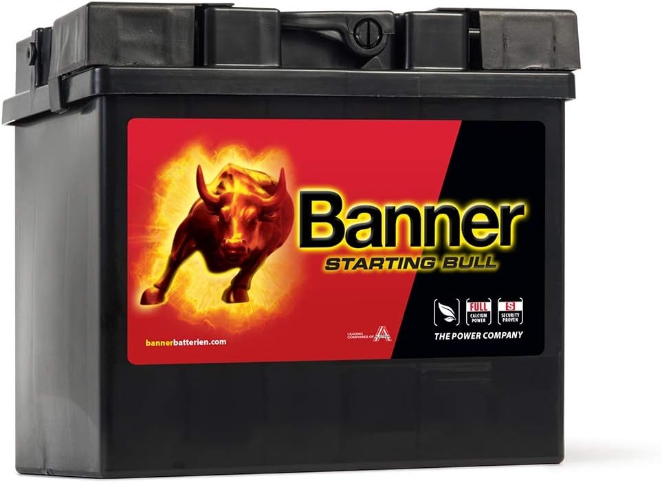 Batterie Banner 12V 30Ah 300A 53030