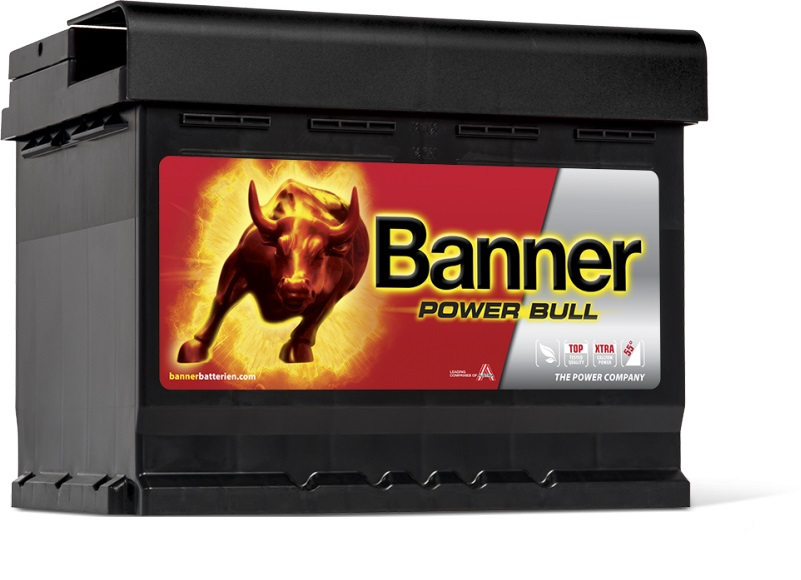 Batterie Auto 12v 62ah 540A Banner P6219DT Power Bull L2 D24