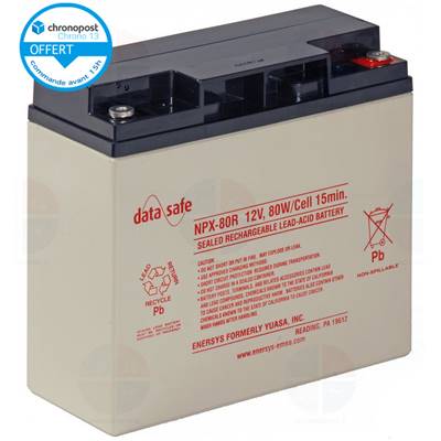 Batterie NPX80-12 DATASAFE 12V 20Ah AGM VRLA TEV 12210 REC22-12