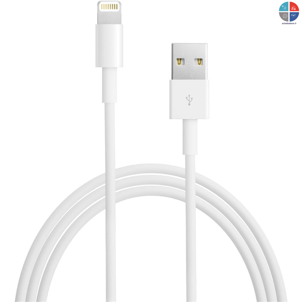 Câble origine Apple MD819ZM/A Lightning iPhone 5/6/7/8 iPad iPod
