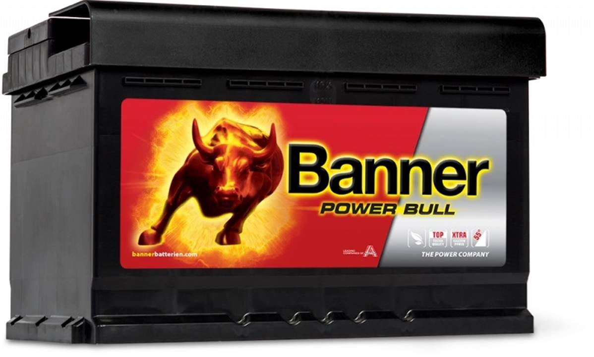 Batterie Auto 12v 74ah 680A Banner P7412 Power pro L3 E11