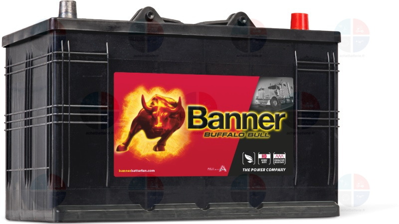 Batterie PL/AGRI Banner 12v 110ah 800A 61011 Buffalo bull I4 avec Talon