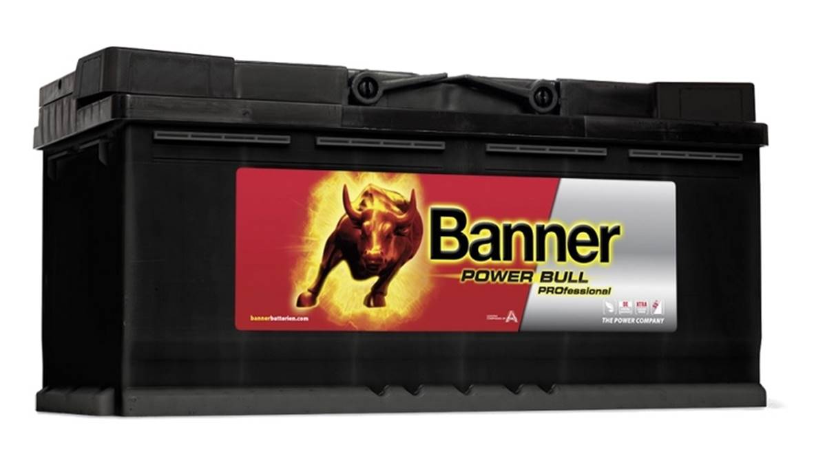 Batterie Auto 12v 100ah 820A Banner Power Pro P10040 H3 L5