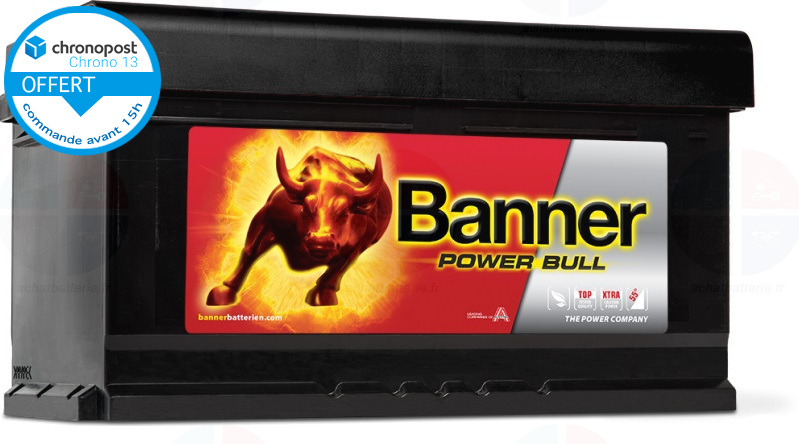 Batterie Auto 12v 80ah 700A Banner P8014 Power Bull LB4 F17