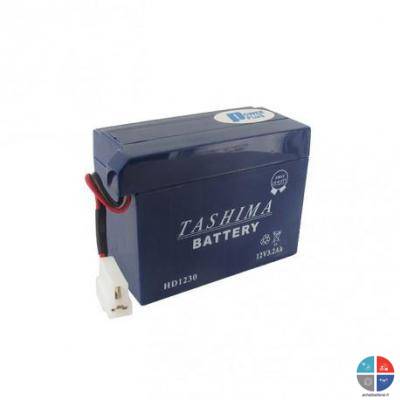 Batterie HD1230 12V 3AH TASHIMA tondeuse