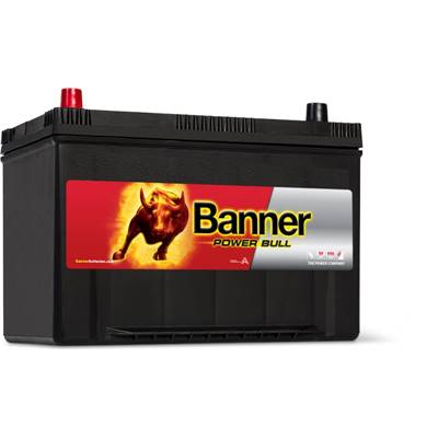 Batterie Auto 12v 95ah 740A Banner P9505 Power Bull G8