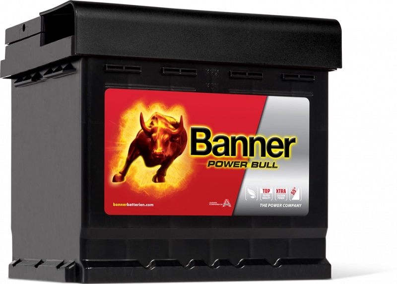 Batterie Auto 12v 50ah 450A Banner P5003DT Power Bull L1C22