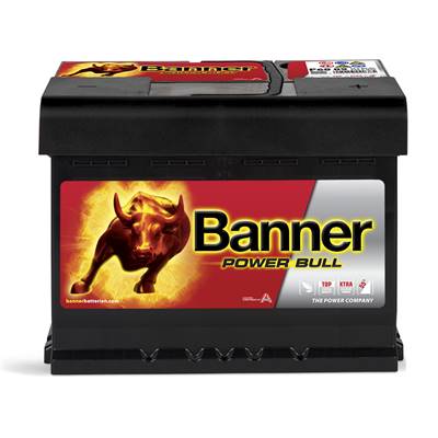 Batterie Auto 12v 60ah 540A Banner P6009 Power Bull LB2 D59