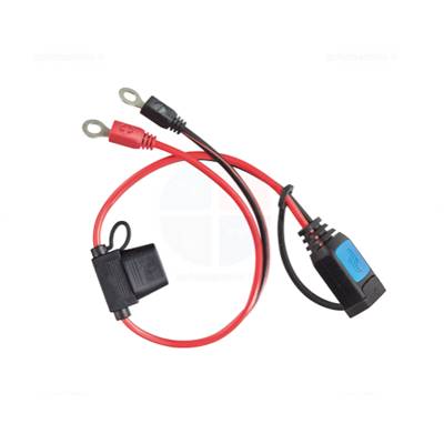 Câble à oeillets M6 pour chargeur VICTRON auto IP65 avec fusible BPC900100014