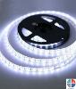 Bande 60 LED 12v IP65 Le Mètre 6W Blanc Froid