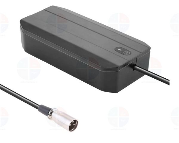 Chargeur E Bike 36v 250W 6A Li Ion
