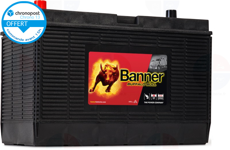 Batterie PL/AGRI Banner 12v 105ah 1000A 60502 Buffalo Bull GR31