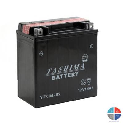 Batterie moto YTX16L-BS 12v 14ah 210A TASHIMA