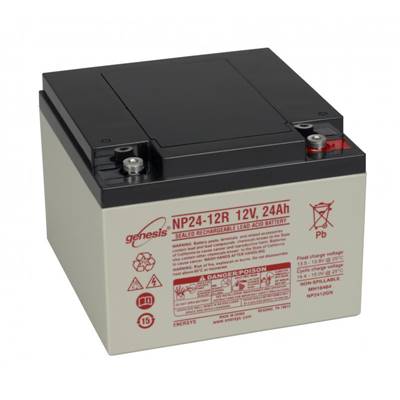 Batterie NP24-12 R GENESIS 12V 24Ah AGM VRLA