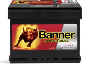Batterie Auto 12v 60ah 540A Banner P6009 Power Bull LB2 D59