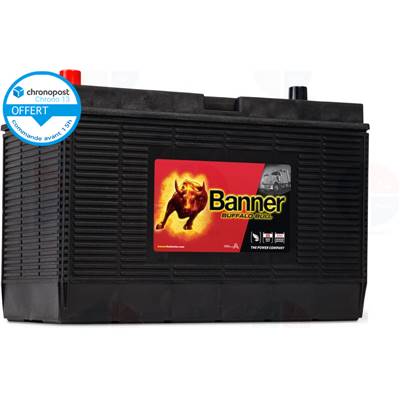 Batterie PL/AGRI Banner 12v 105ah 1000A 60502 Buffalo Bull GR31