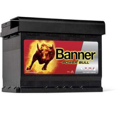 Batterie Auto 12v 62ah 540A Banner P6219DT Power Bull L2 D24