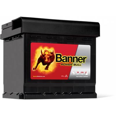 Batterie Auto 12v 50ah 450A Banner P5003DT Power Bull L1C22