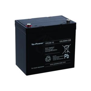 YPC55-12 Batterie YUASA 12V 55AH NP55-12 AGM